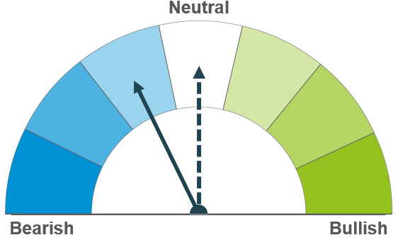 Wheat dial ST mildly bearish LT neutral 11 11 2024